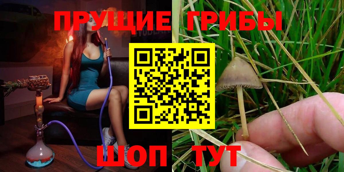 Галлюциногенные грибы мухоморы  Галлюциногенные грибы прущие грибы  Печора  Вход с VPN 